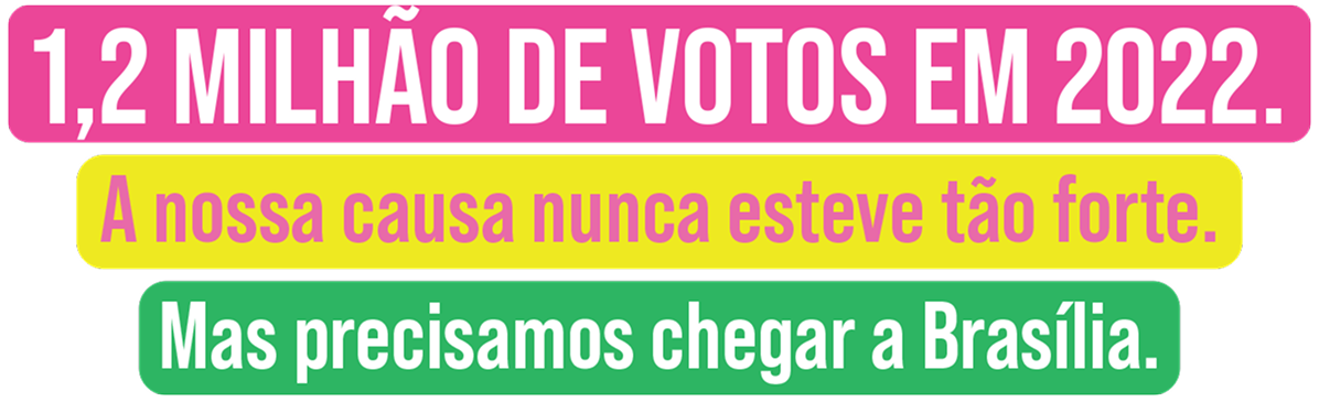 1,2 milhão de votos em 2022. A nossa causa nunca esteve tão forte. Mas precisamos chegar a Brasília.
